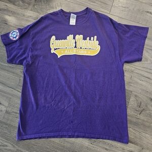 XL Purple Yellow Greenville Westside All Stars T-Shirt Jersey City Baseball